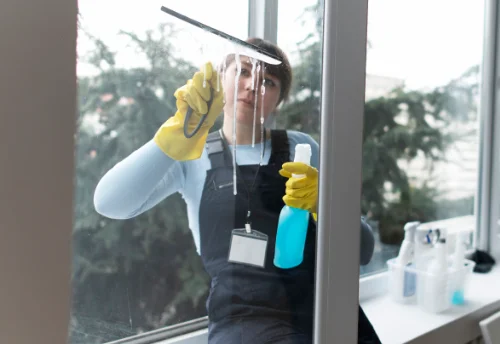 Nettoyage de vitres intérieures et extérieures à Saint-Désiré